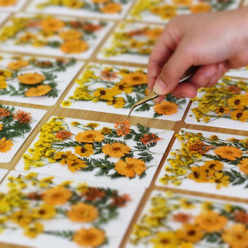 Dried Flowers Real Natural Pla - Nail Art Natural recension och pris