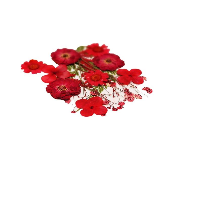 Dried Flowers Real Natural Pla - Nail Art Natural recension och pris